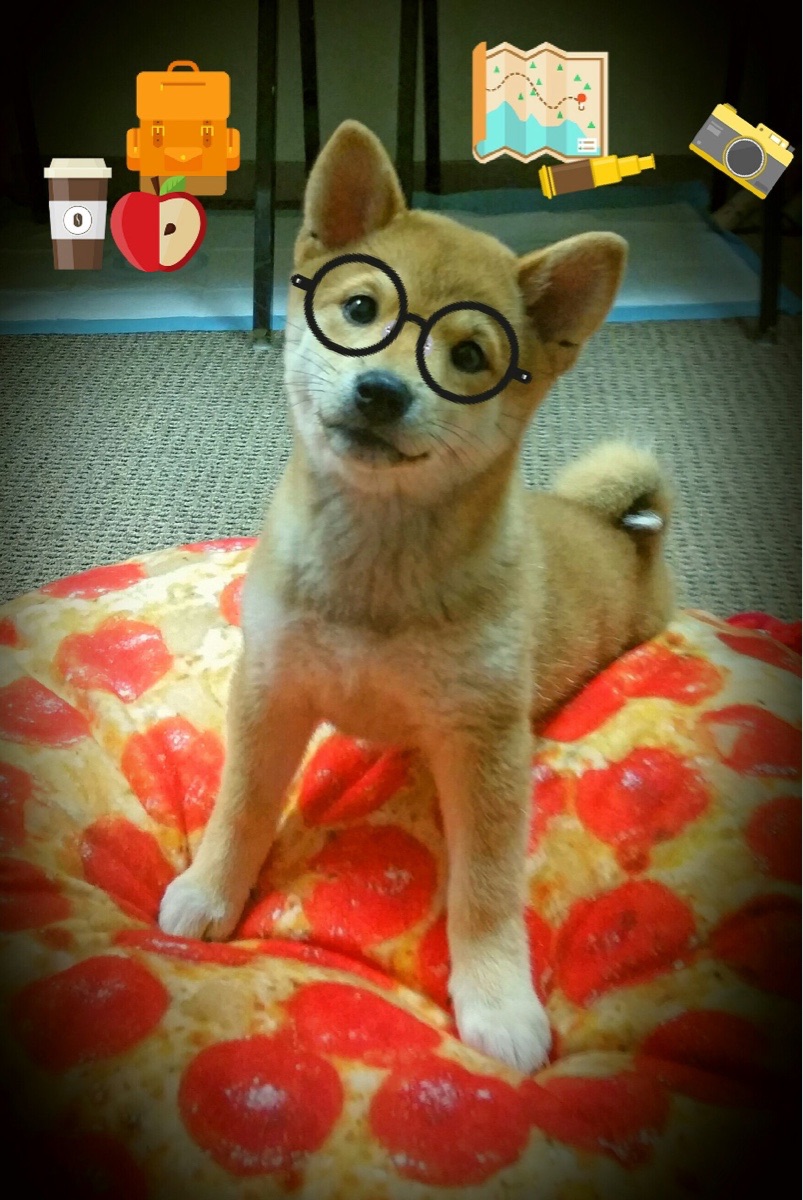 CS2 赛事规则优化提升竞技公平，cs2游戏