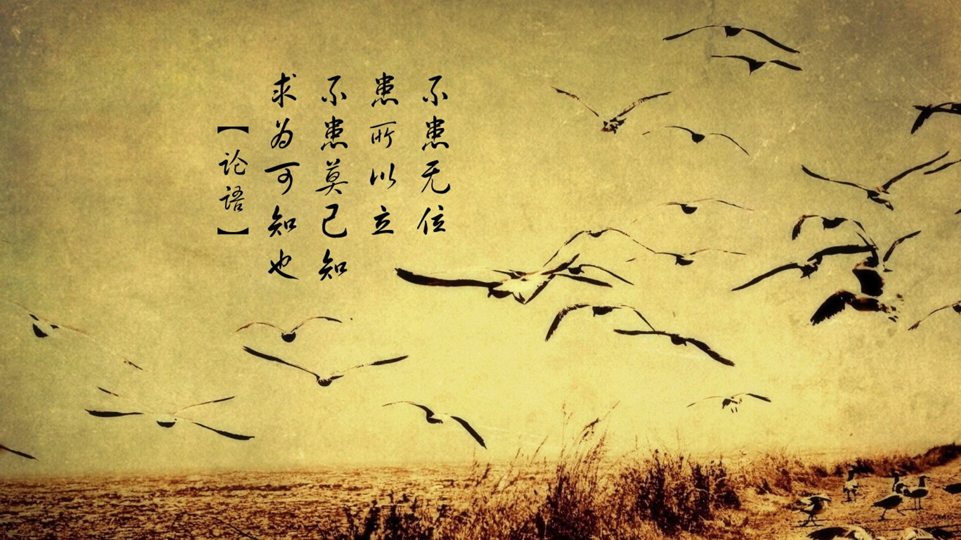 开云平台-_云端极速跑：虚拟空间中挑战极限_，云端超级云