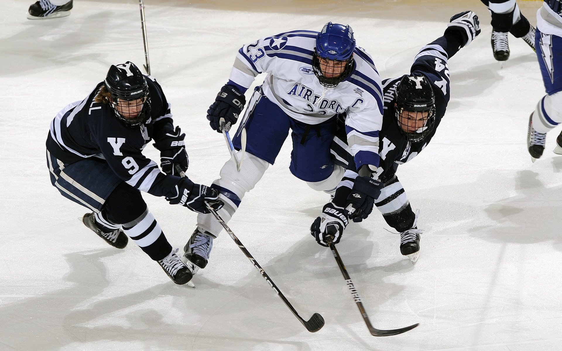 kaiyun中国官方网站-世界风筝节体育竞技，空中飞翔的艺术之美，世界风筝比赛