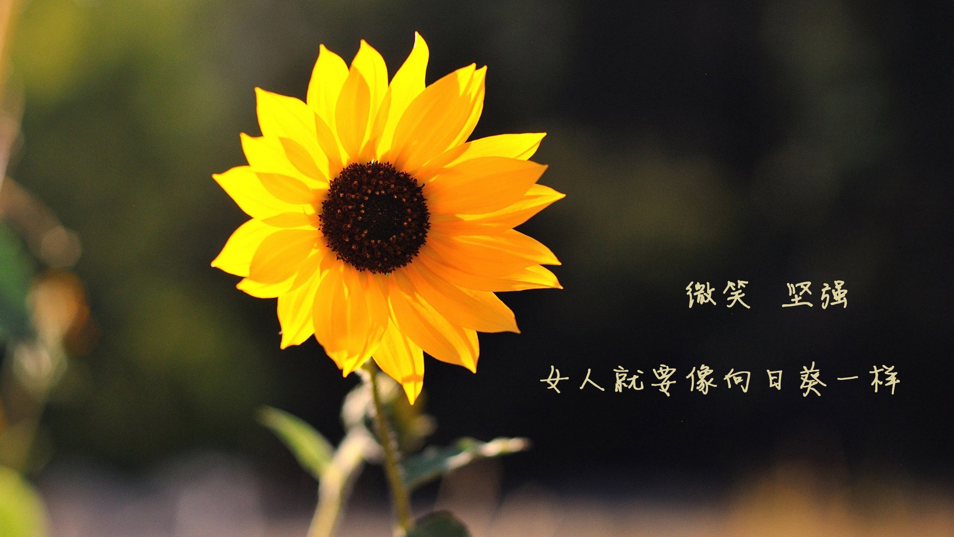 开云网页版登录入口-中国女篮少年队参加亚洲青少年锦标赛获佳绩，中国女篮少年队最高队员