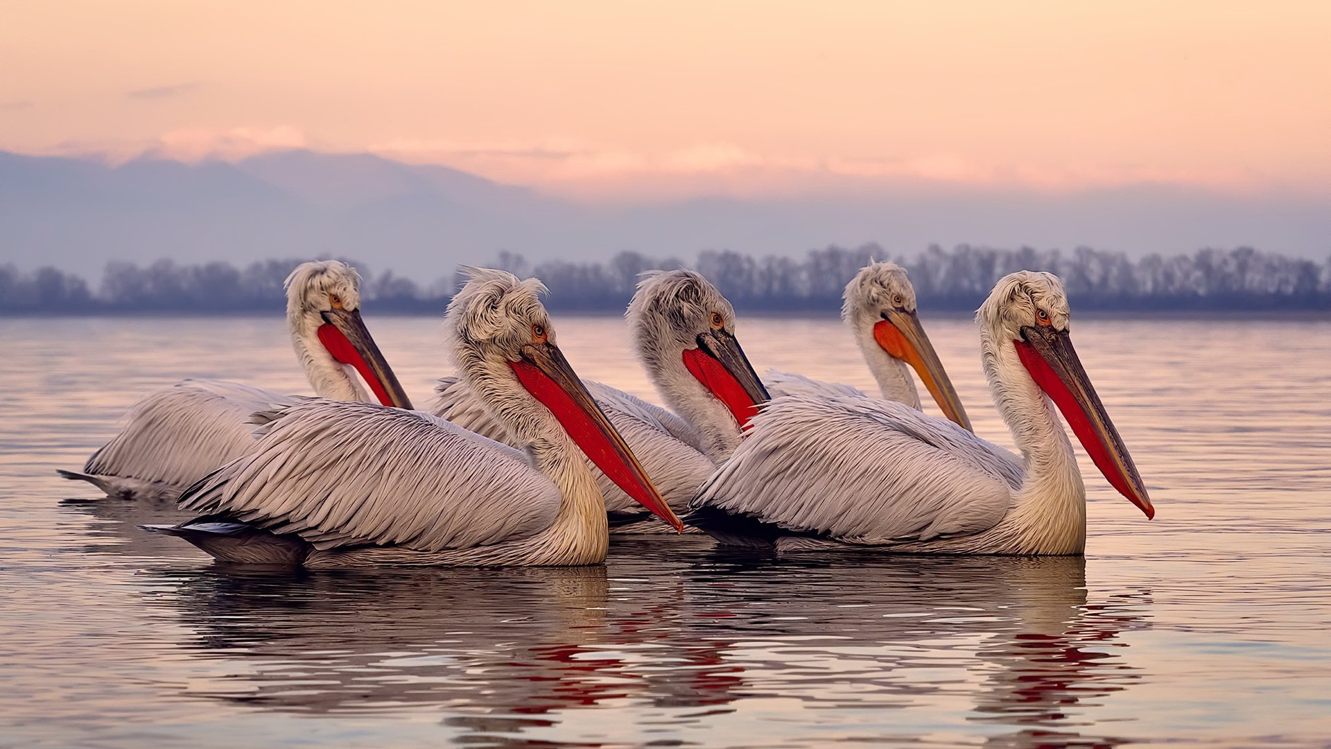 中国足球行业“十四五”规划发布，推动高质量发展，中国足球发展总体方案