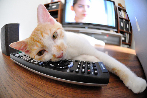 kaiyun体育综合-史上最精彩“冠军欢庆”现场回放，冠军庆祝