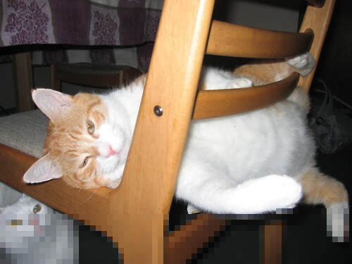 足球技术分析系统投入使用，助力教练精准布阵，足球系统训练方法