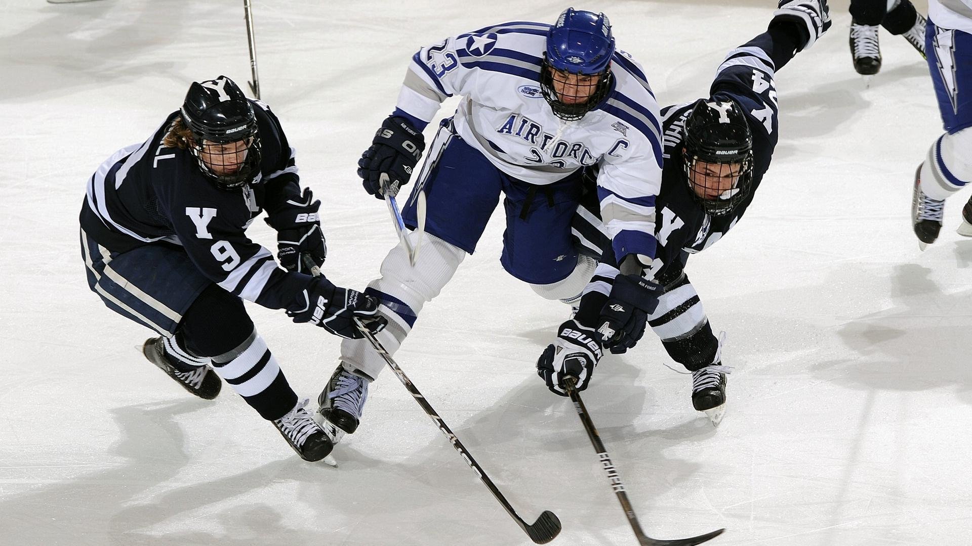 高规格裁判培训：确保比赛公平正义，裁判规范