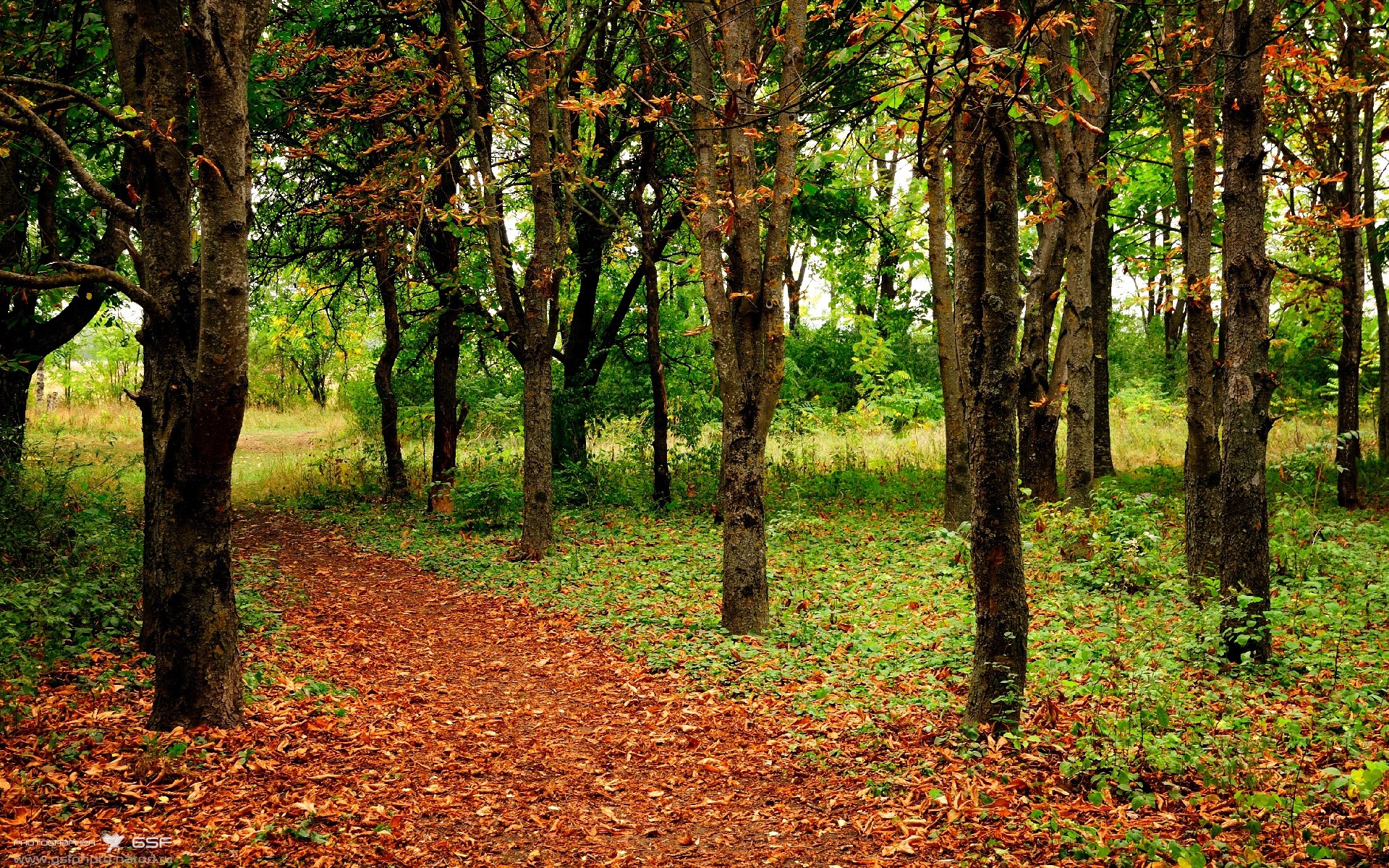 北京国安签下重要新援，北京国安引进的新外援的最新消息