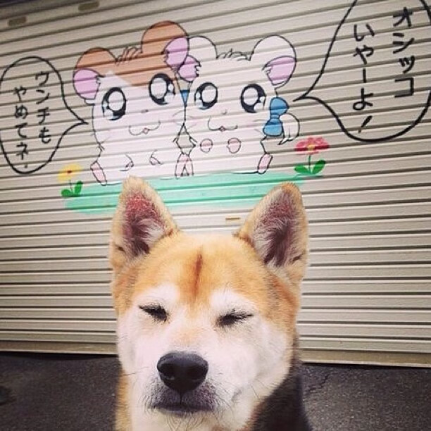 开云中国大陆-足球赛事热火朝天，球队实力对话激烈，足球热身赛赛程