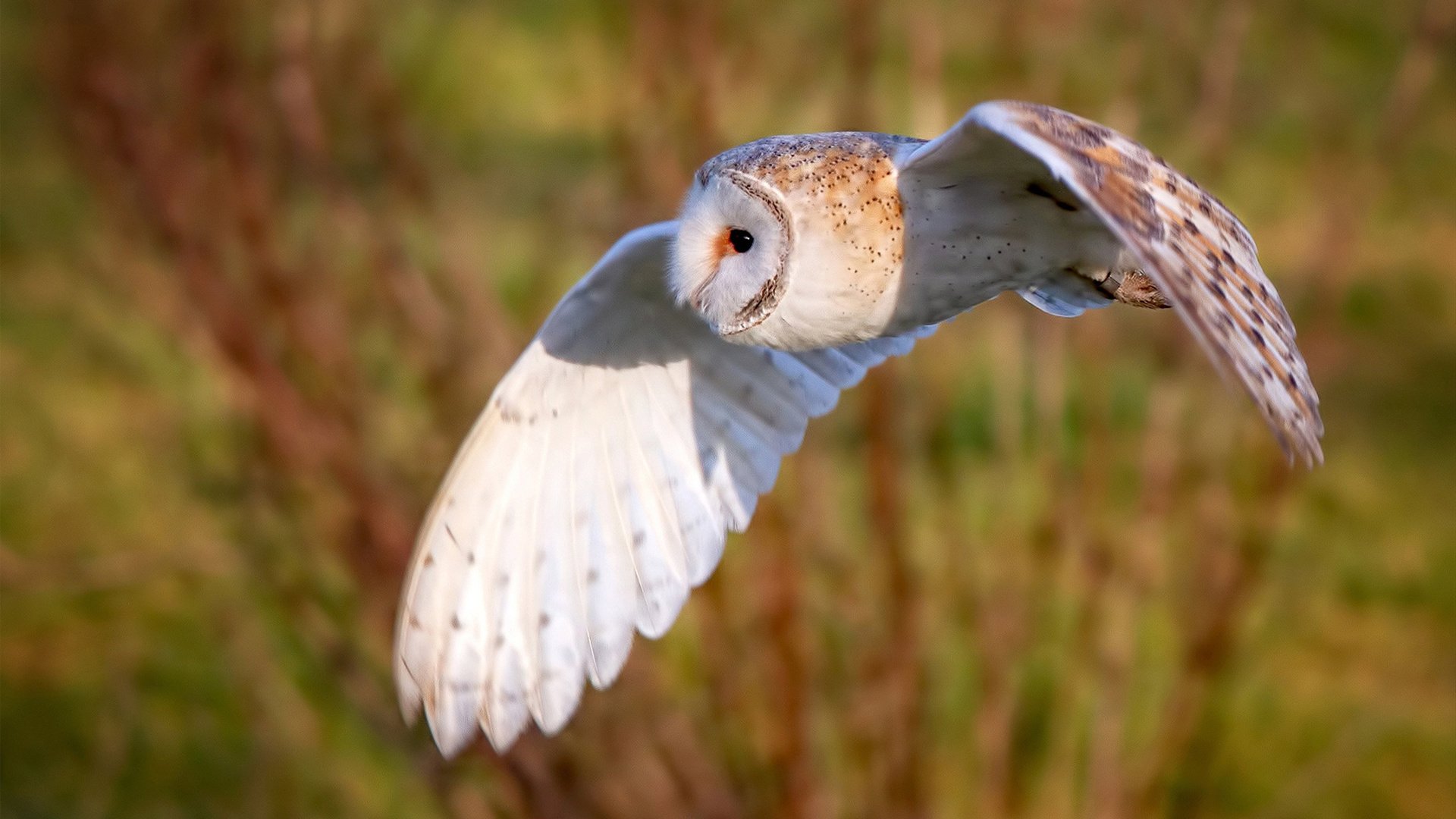 开云网站-辽宁本钢赛季表现稳定出色，辽宁本钢队赛程行程表
