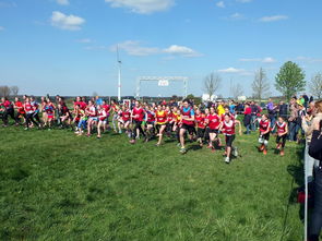 开云官方网页登录-中国篮球青少年篮球发展政策落实与推广，中国青少年篮球发展现状