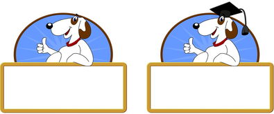 Kaiyun(中国)开云-校园体育活动对大学生心理健康的促进作用，体育锻炼对大学生心理健康促进的意义