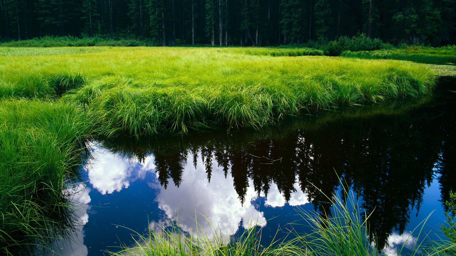 “2025年世界运动会：沙滩赛场上演速度与激情”