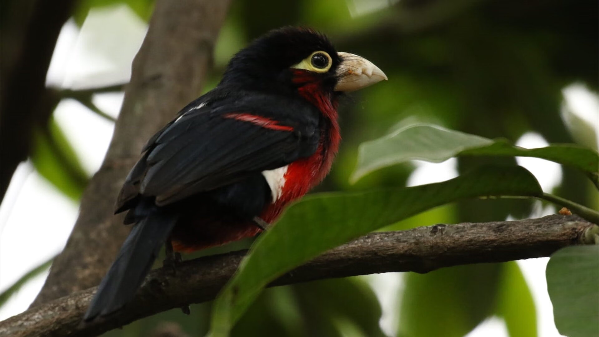 开云官方-城市马拉松关注环保倡导绿色出行，城市马拉松活动策划方案