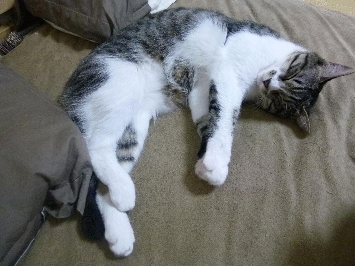 女子中长距离策略得当 节奏出色，女子中长跑有哪些项目