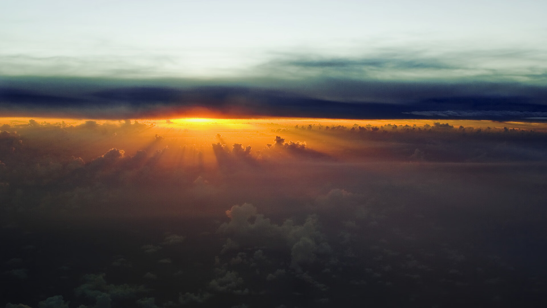 开云·体育官网APP下载-职业教练证书制度改革提升中国教练整体水平，职业级教练员