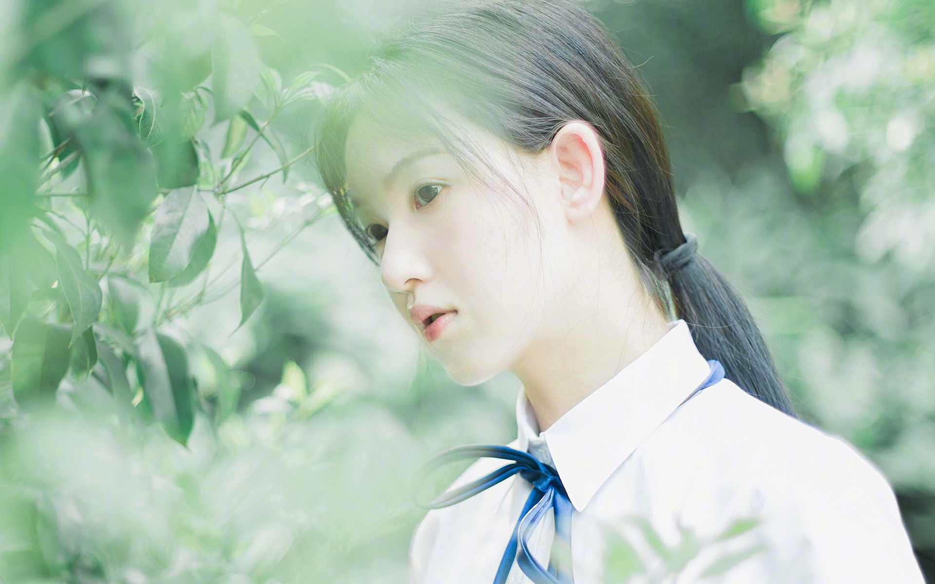 kaiyun.com-阿根廷美洲雄鹰队：南半球崛起的新兴力量，阿根廷雄鹰图片