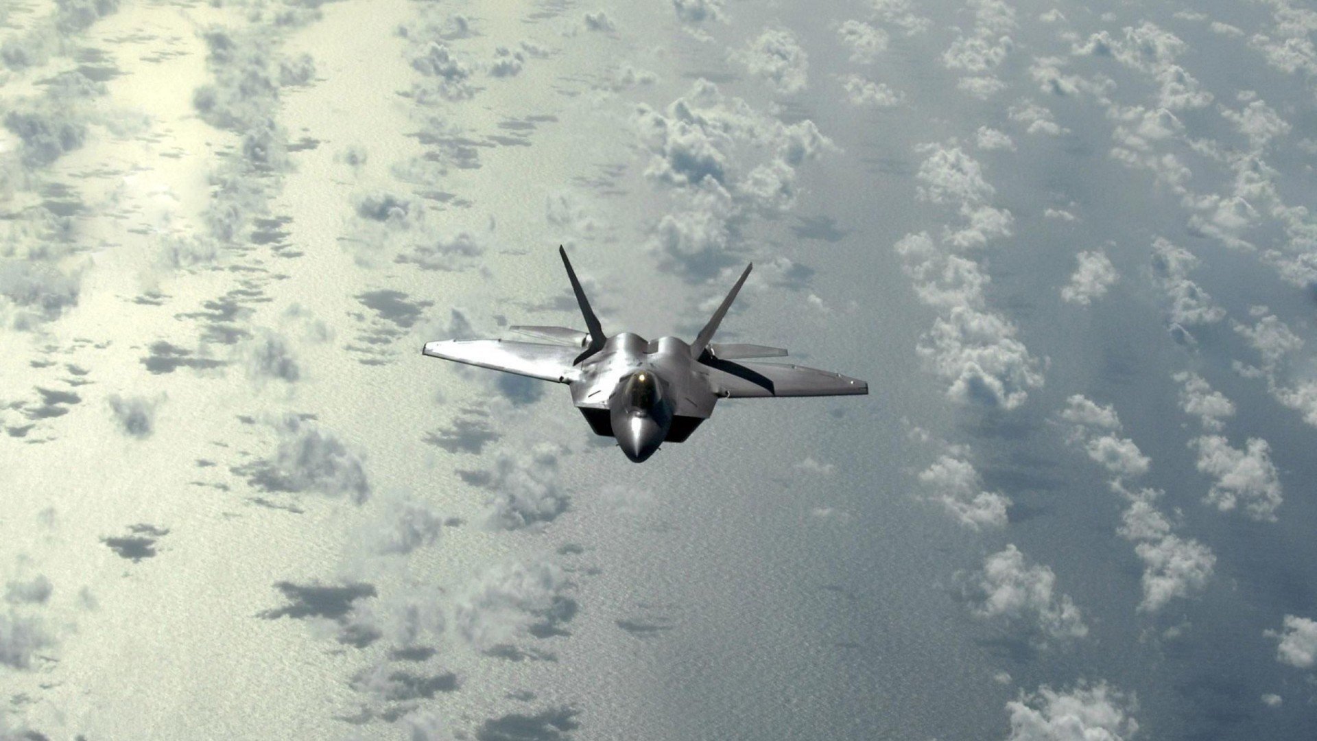 阿根廷美洲雄鹰队：南半球崛起的新兴力量，阿根廷雄鹰图片